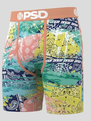 Haiden Deegan - Paisley