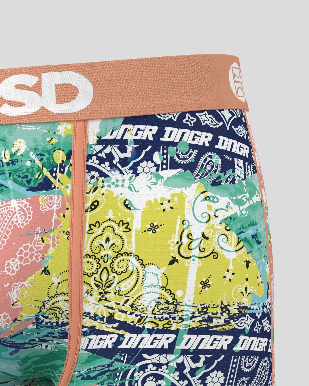 Haiden Deegan - Paisley - Image 5