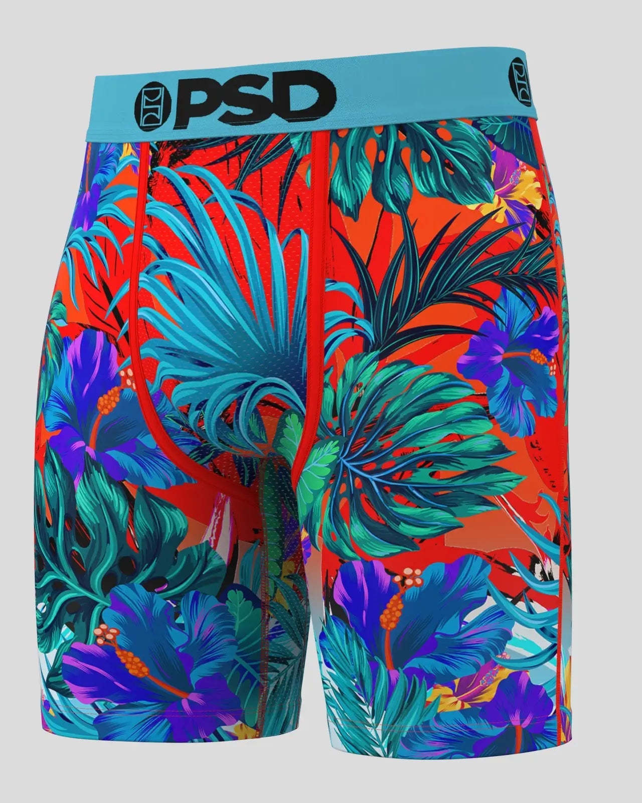 6 Pack - Tropics - Image 2