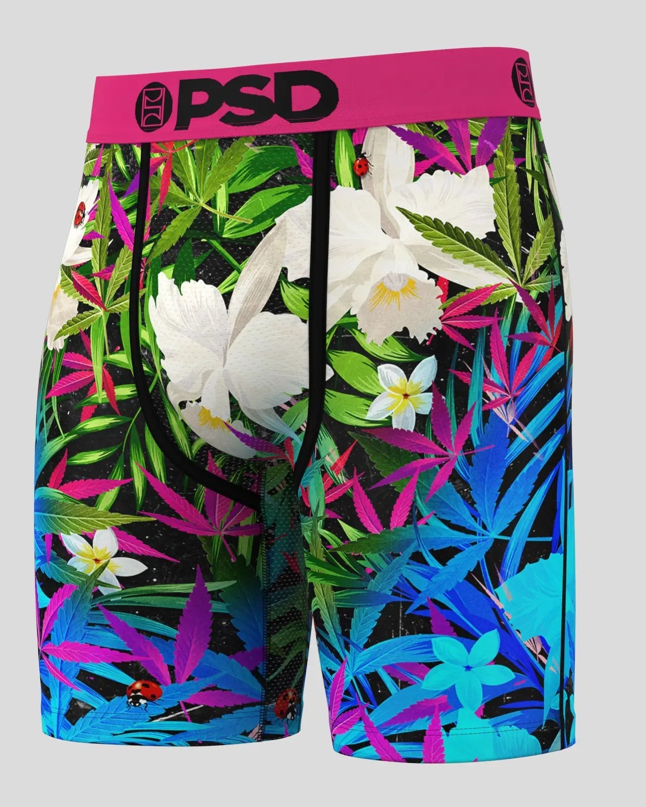 6 Pack - Tropics - Image 3