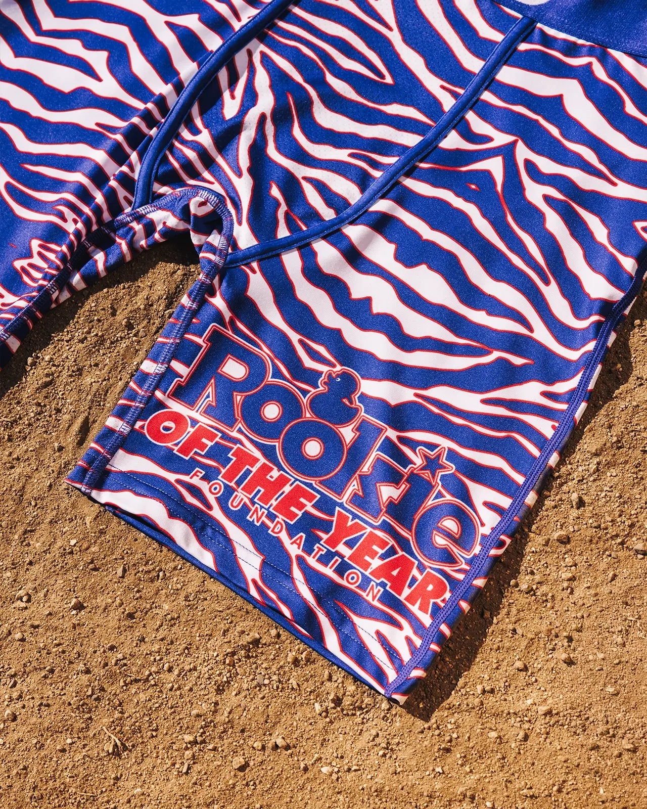 Rookie of the Year - Image 2