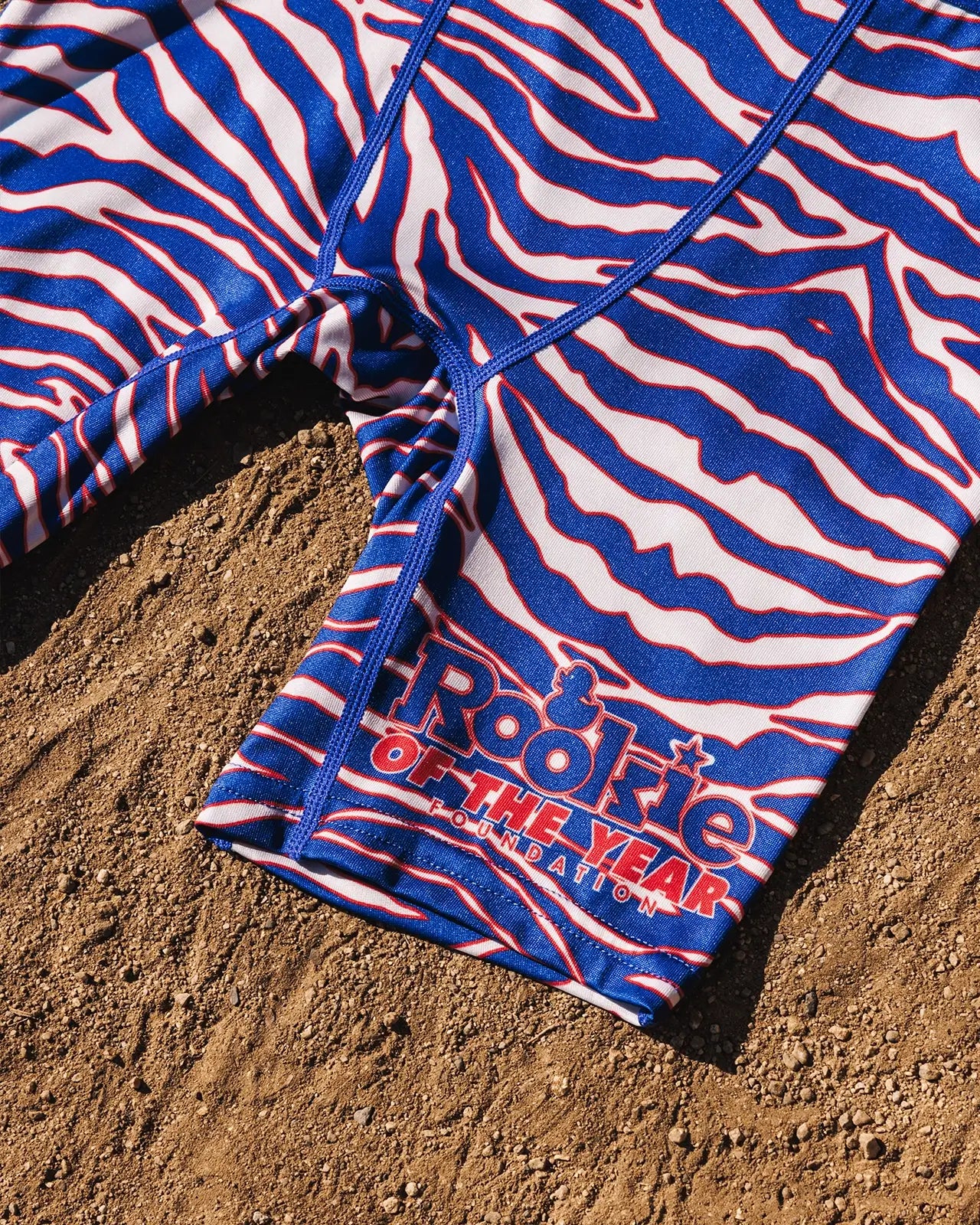 Rookie of the Year - Image 2