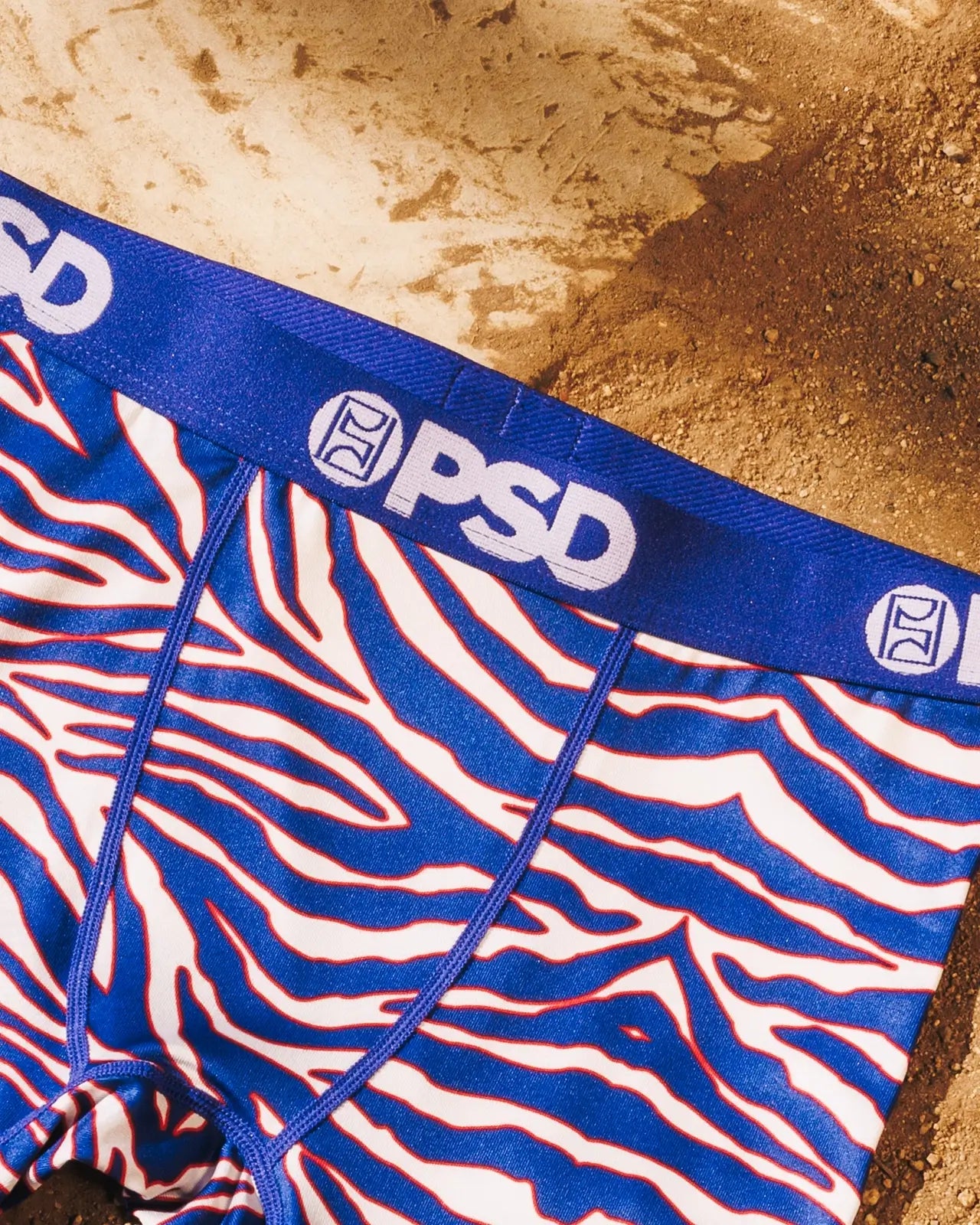 Rookie of the Year - Image 3