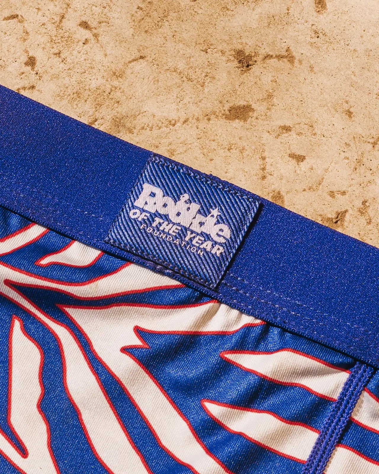 Rookie of the Year - Image 4