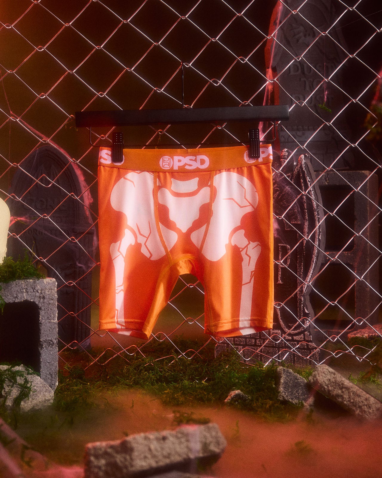 Snapped Orange - Image 3