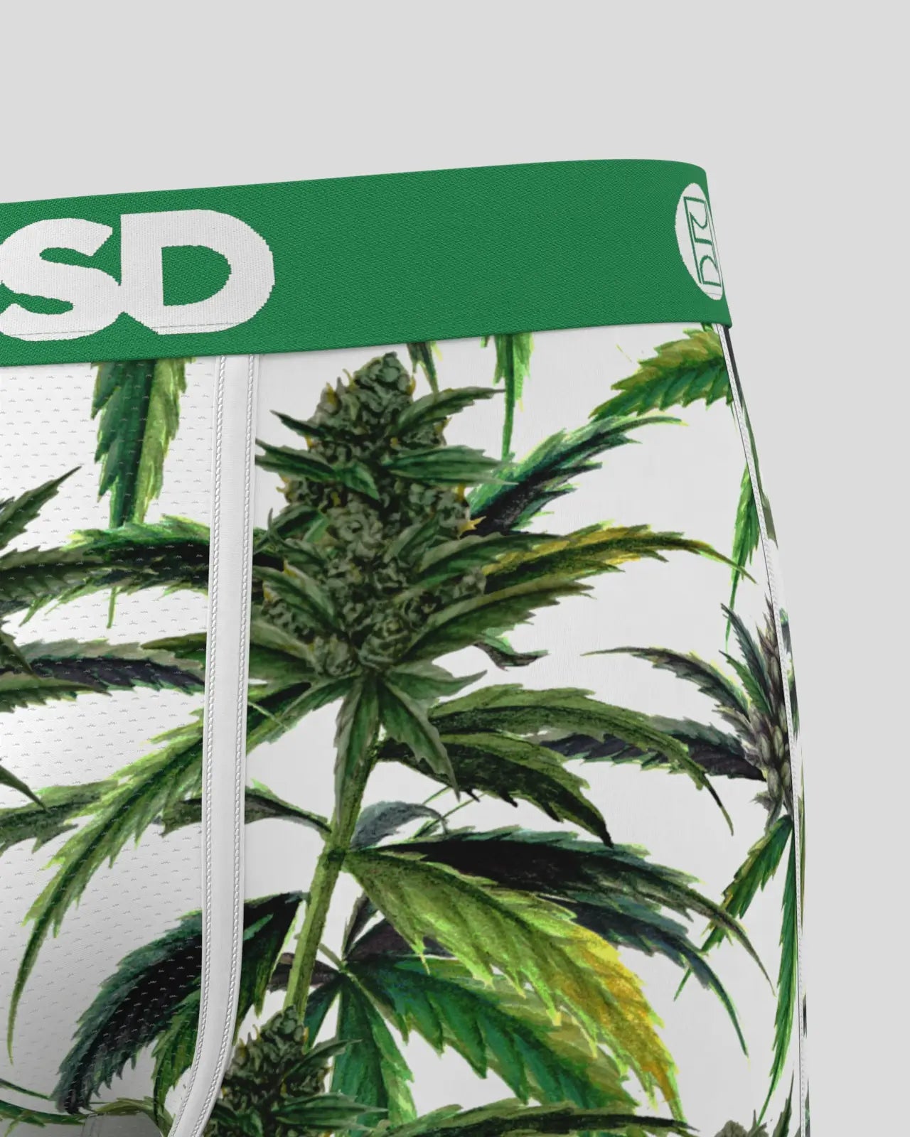 Buds & Bloom - Image 5