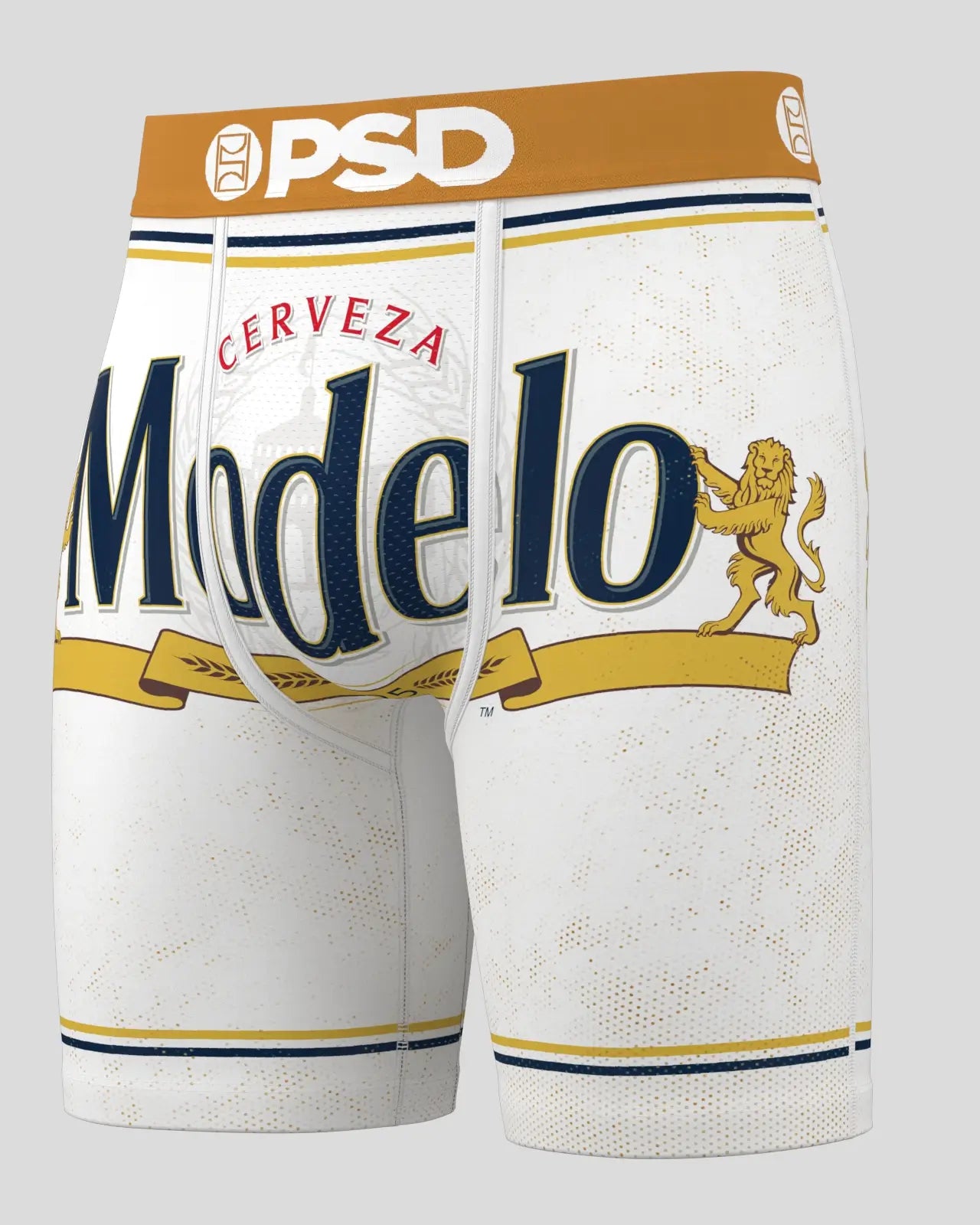 Modelo - Can - Image 2