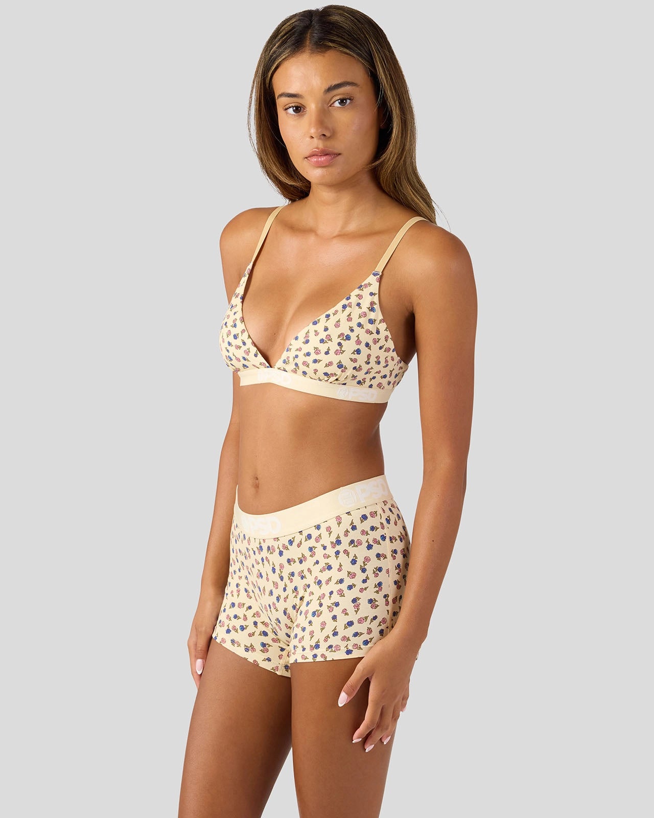 Modal - Western Ditzy - Image 3